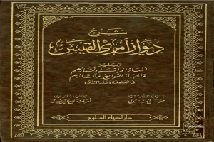 Book cover of شرح ديوان امرؤ القيس by Imru' al-Qays Book cover of شرح ديوان امرؤ القيس by Imru' al-Qays